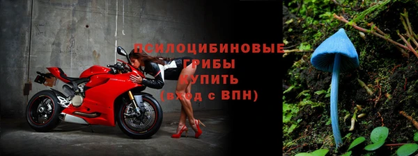 а пвп мука Верхний Тагил