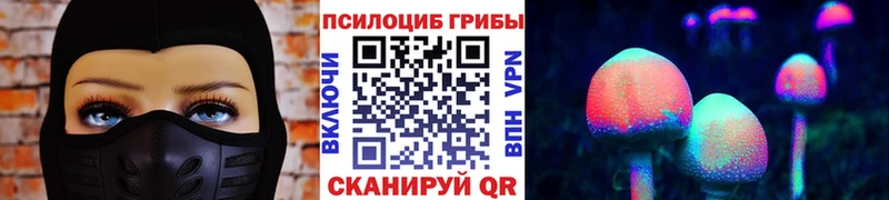 Галлюциногенные грибы MAGIC MUSHROOMS  что такое   Зерноград 